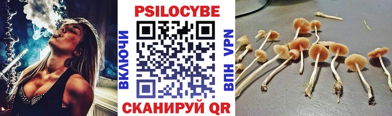 Галлюциногенные грибы Magic Shrooms Фокино